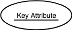 Primary key attribute